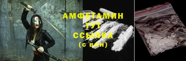 прущие грибы Магас