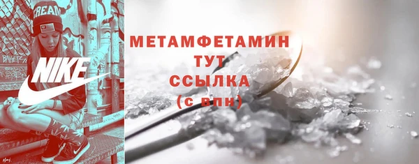 прущие грибы Магас