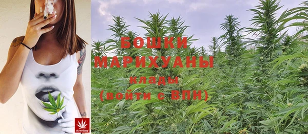 прущие грибы Магас