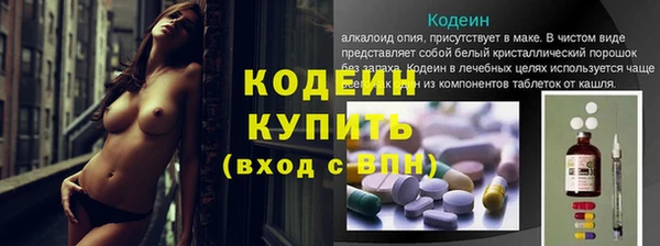 прущие грибы Магас