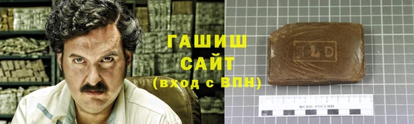 прущие грибы Магас