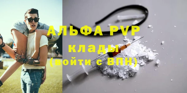 прущие грибы Магас