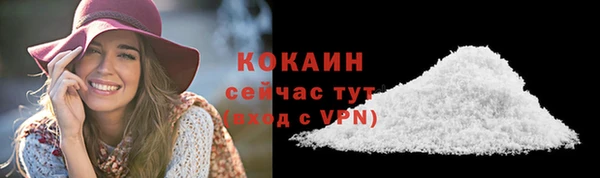 прущие грибы Магас