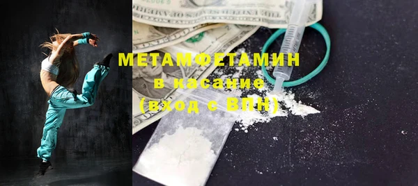 прущие грибы Магас