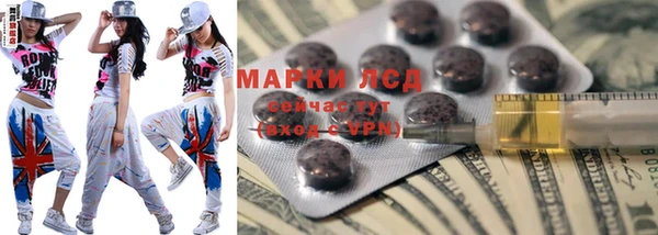 прущие грибы Магас
