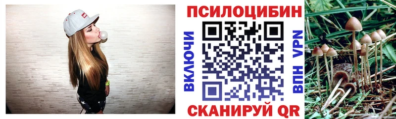 Купить  Амурск  Галлюциногенные грибы GOLDEN TEACHER 